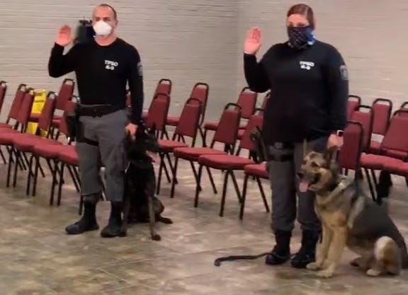 K9
