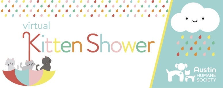 Kitten-Shower-
