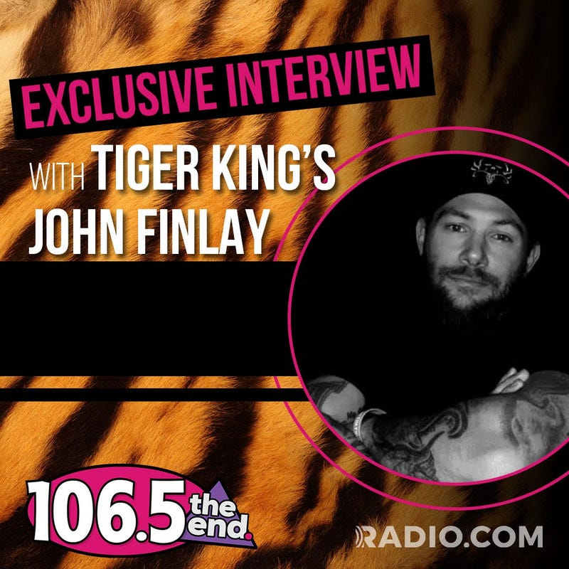 tigerking