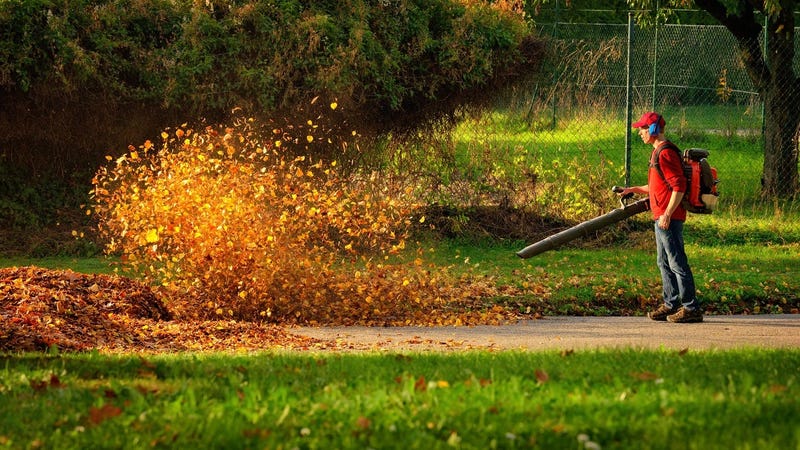 leaf_blower