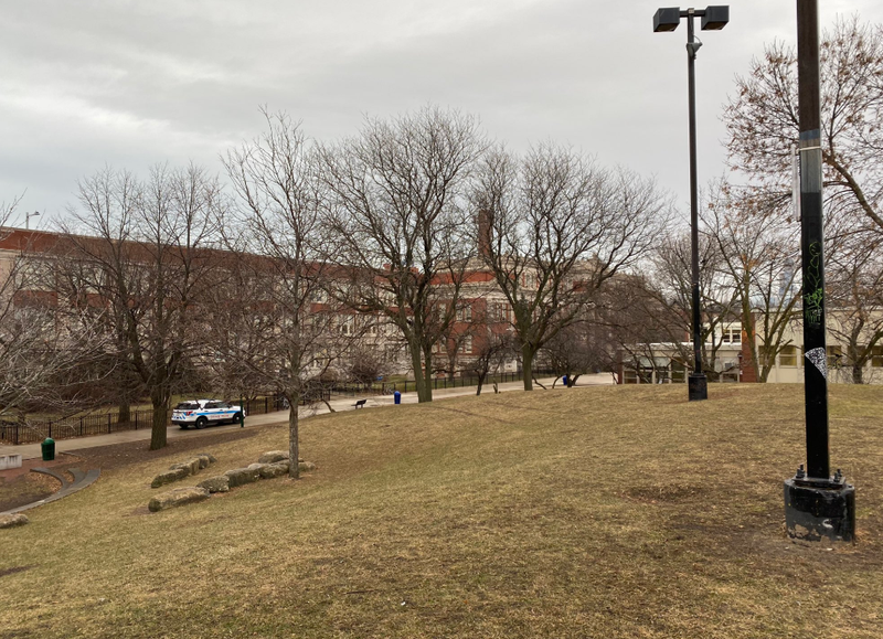 Lincoln Park High School was placed on lockdown Thursday morning after a coyote was spotted nearby.