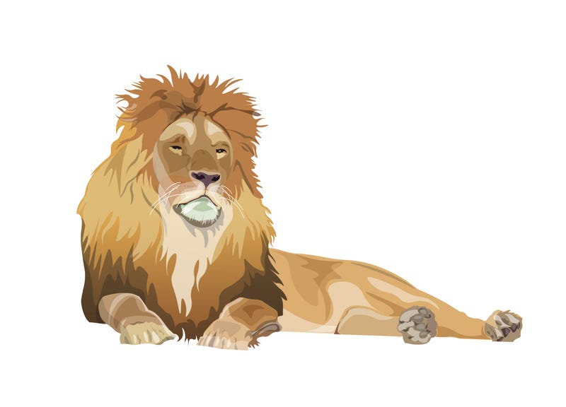 Lion lying down image