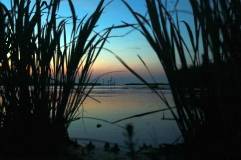 Wetlands