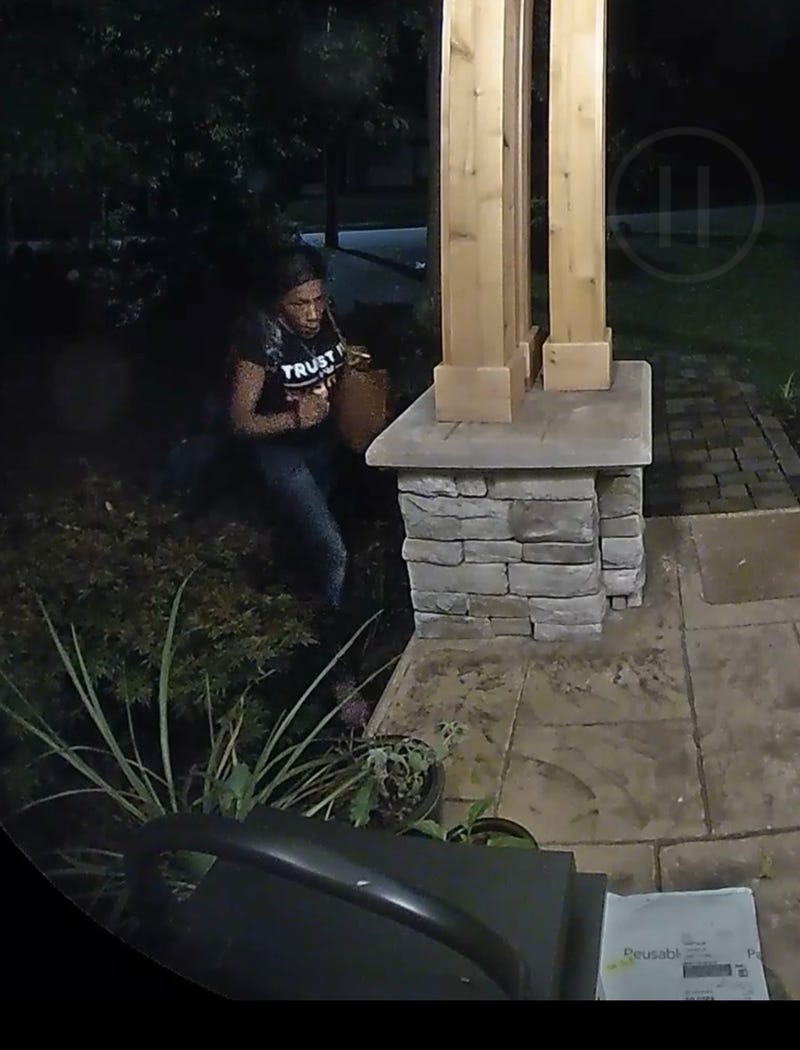 Package Theft Suspect