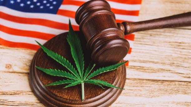 Republican congressman Greg Steube (R-FL) filed a bill focused on protecting military veterans from losing government benefits for using medical marijuana