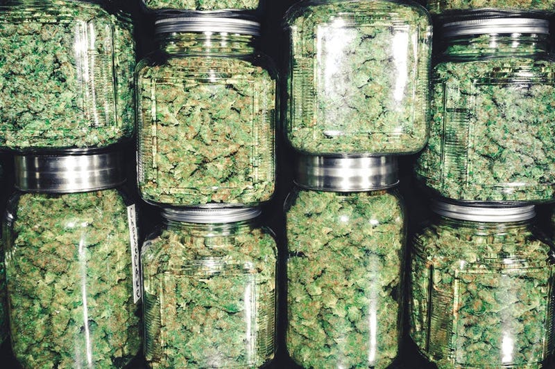 Marijuana in jars