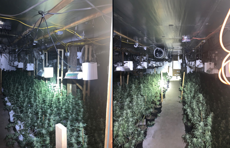 Marijuana Massachusetts