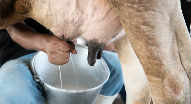 Kansas Senate approves bill to allow on-farm raw milk sales