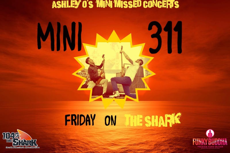 Mini 311