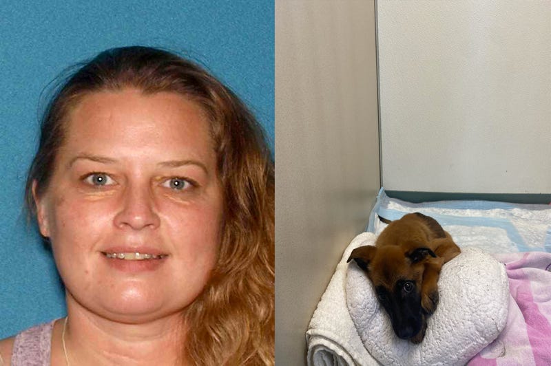 Jodi Wazniak and one of the German Shepherd / Belgian Malinois puppies that is currently being treated for the Parvo virus at the Linwoood Animal Hospital.