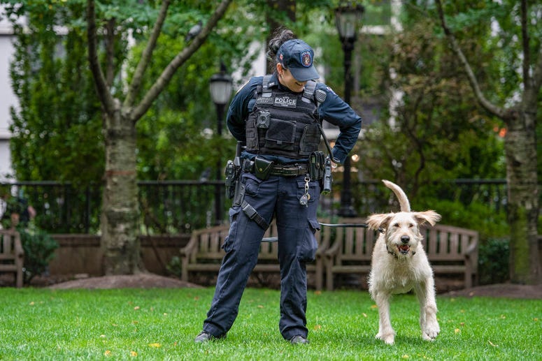 NYPD Dog Calendar Image