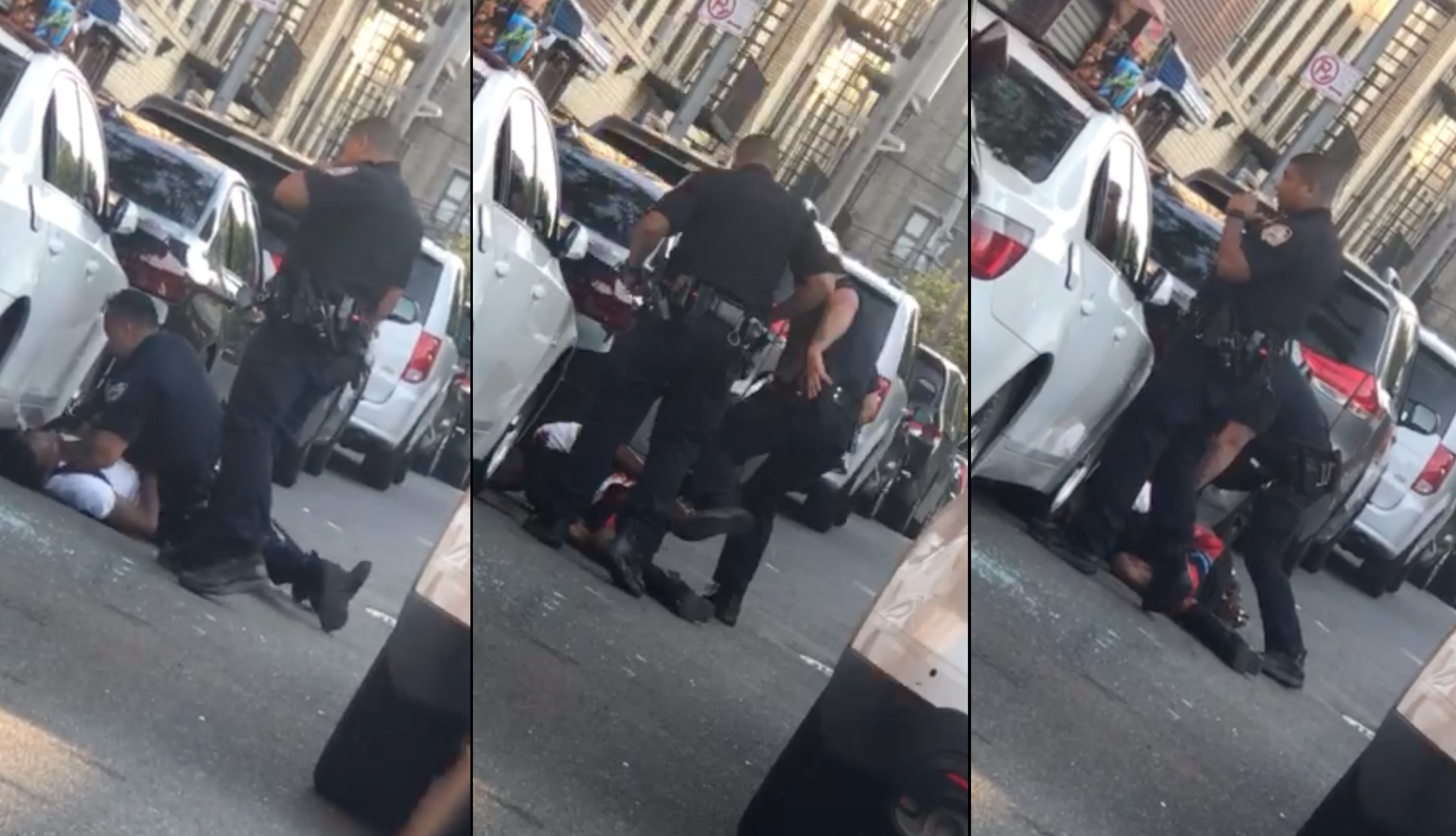 Ts Bronx Arrested - x61g365