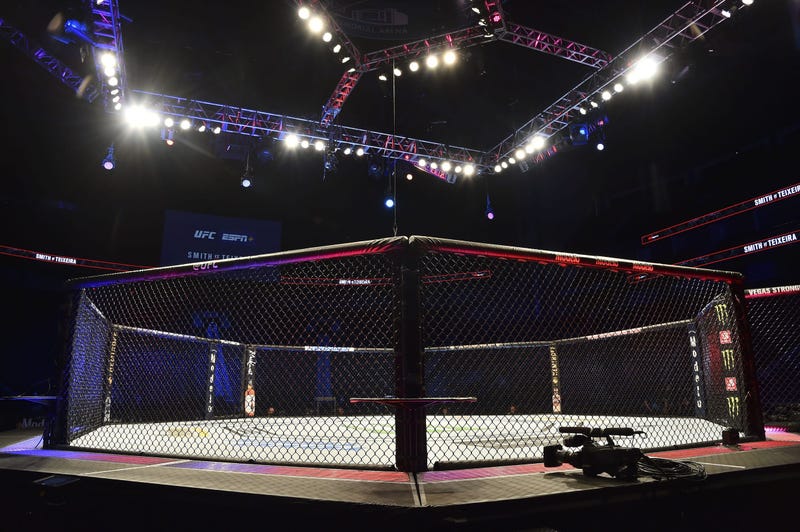 Octagon of fight island