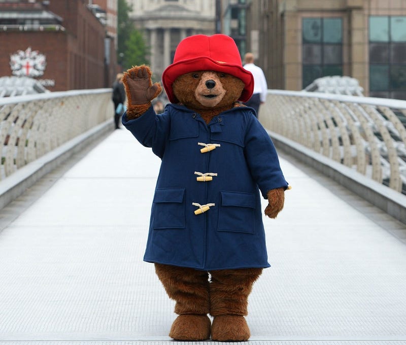 paddington_bear