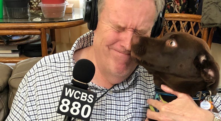 Paul Murnane with his dog Lola