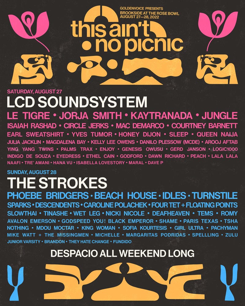 This Aint No Picnic
