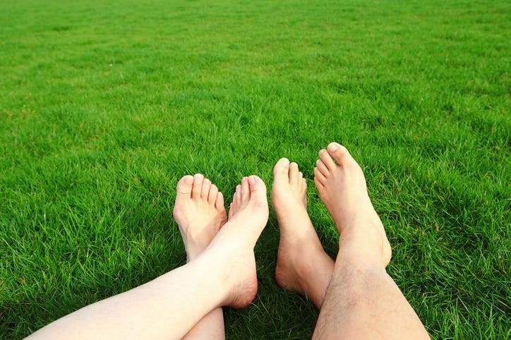 pies