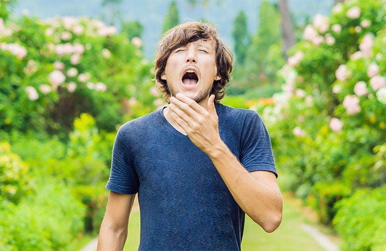 Young man sneeze in the park against the background of a flowering tree