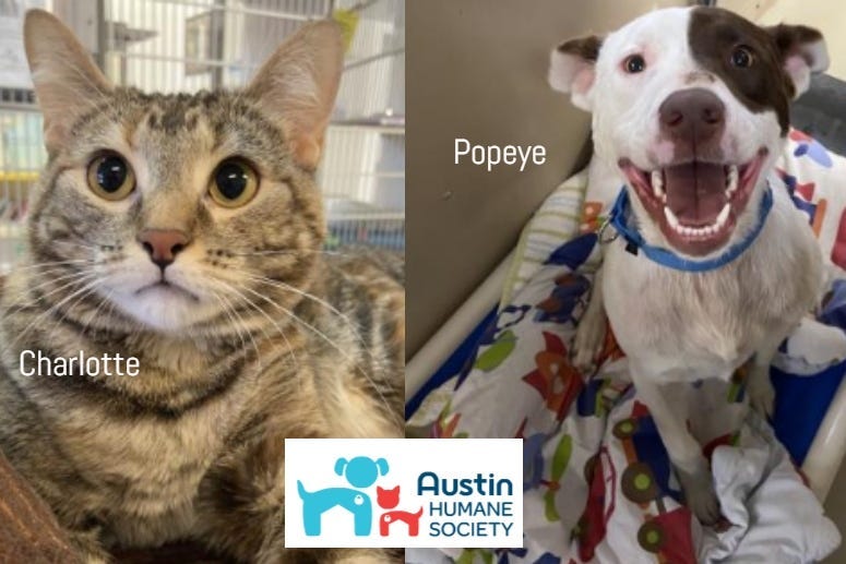 Austin Humane Society September 2020