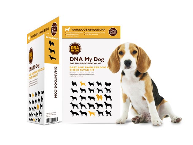 DNA My Dog