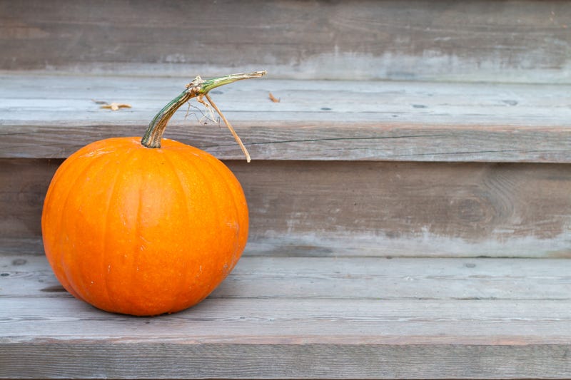 Pumpkin