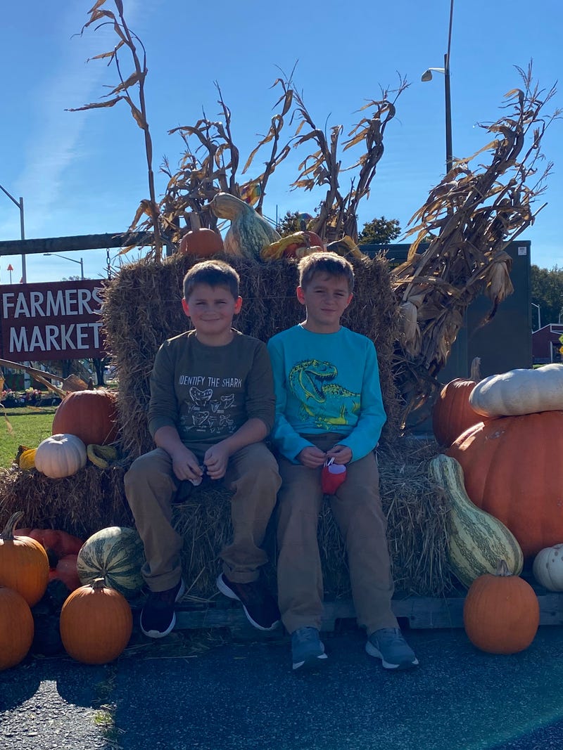 pumpkins