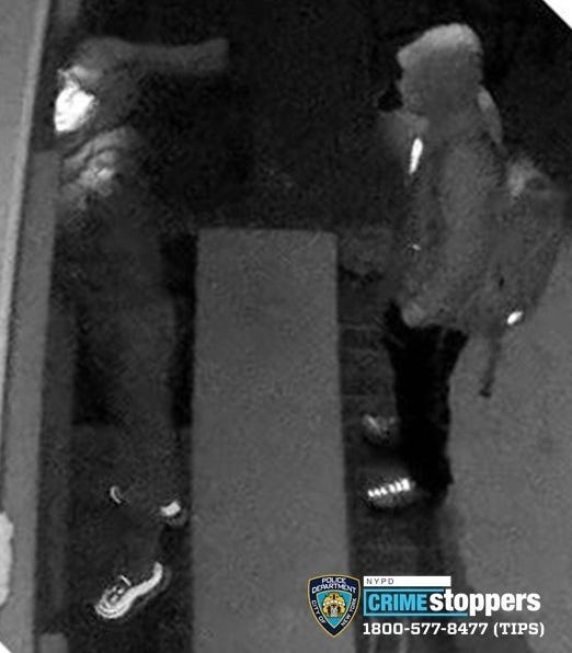 Queens Burglars