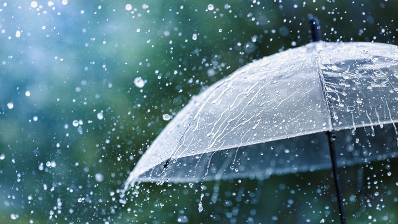 Rain