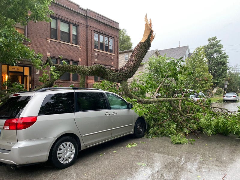 Storm Damage Ravenswood