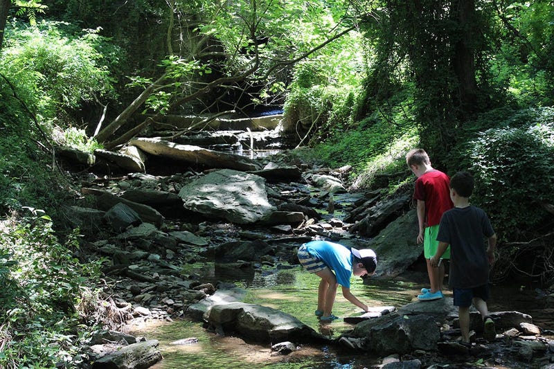 Riverbend Environmental Education Center