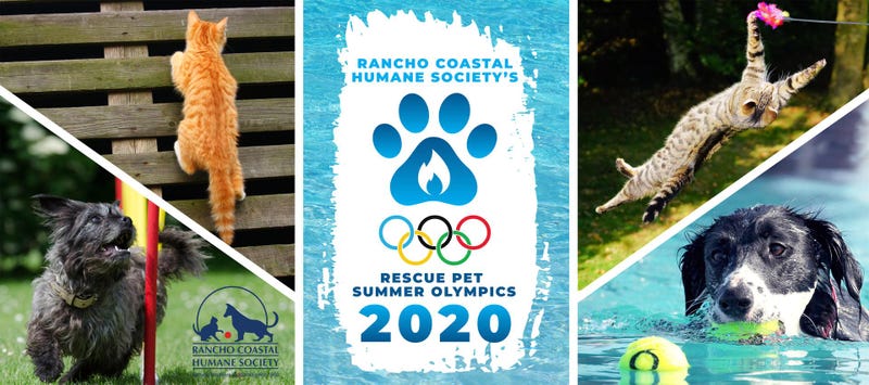 Rescue Pet Summer Olympics 2020