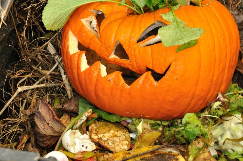 Old Jack-O-Lantern in a compost bin