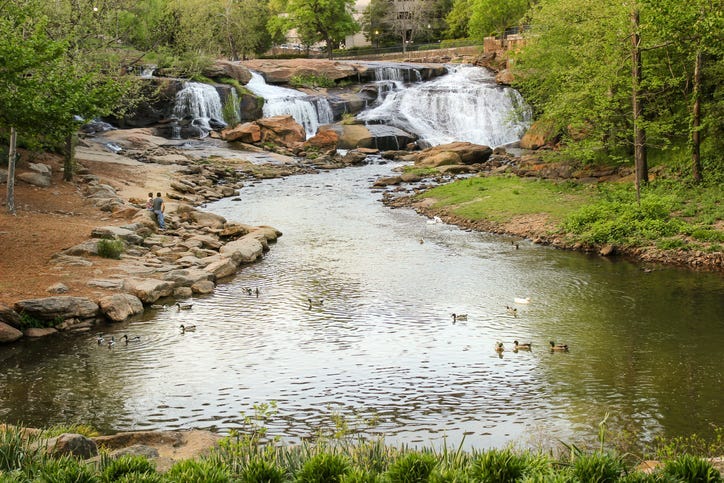 Reedy River