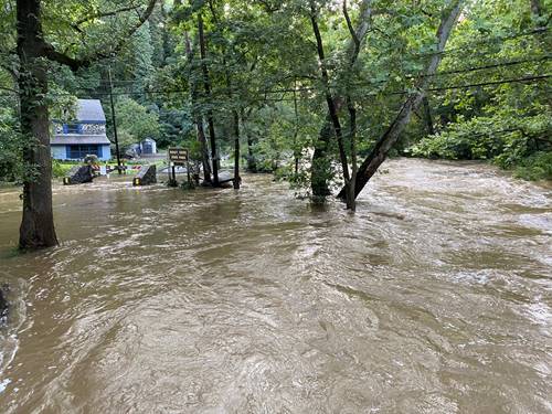 Trees were knocked down, roads and trails washed out, in Ridley Creek State Park in Delaware County.
