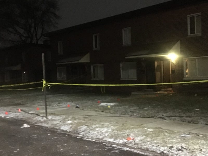 river rouge public housing shooting