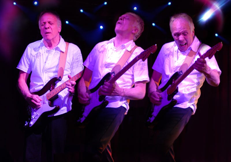 robin trower