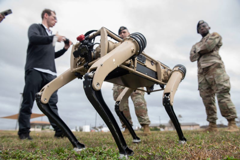 Robot dog