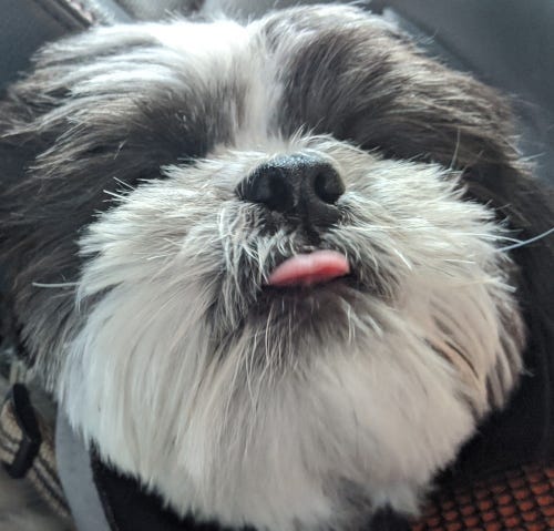 Rudy Roo Love Lick 6/29/20