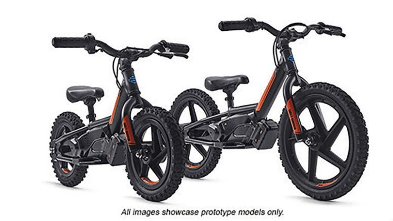 Harley-Davidson is trying to attract a new generation of riders at a very young age. The iconic motorcycle company announced Tuesday that it was buying StaCyc, which makes two-wheel electric bikes for kids.
