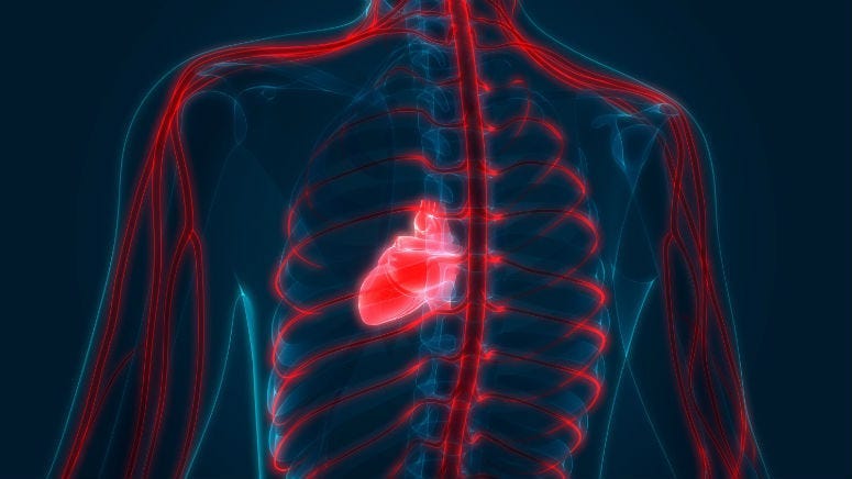 Having higher-than-normal cholesterol and blood pressure levels before age 40 can raise your risk of heart disease later in life more than you might think, according to a new study.