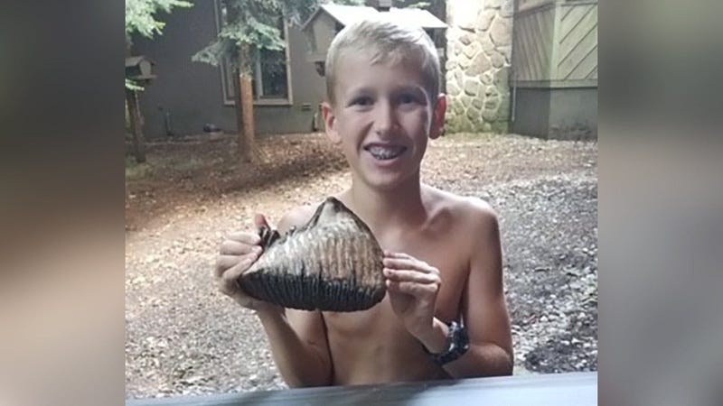 Jackson Hepner holds his discovery.
