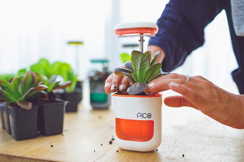 planter herb garden