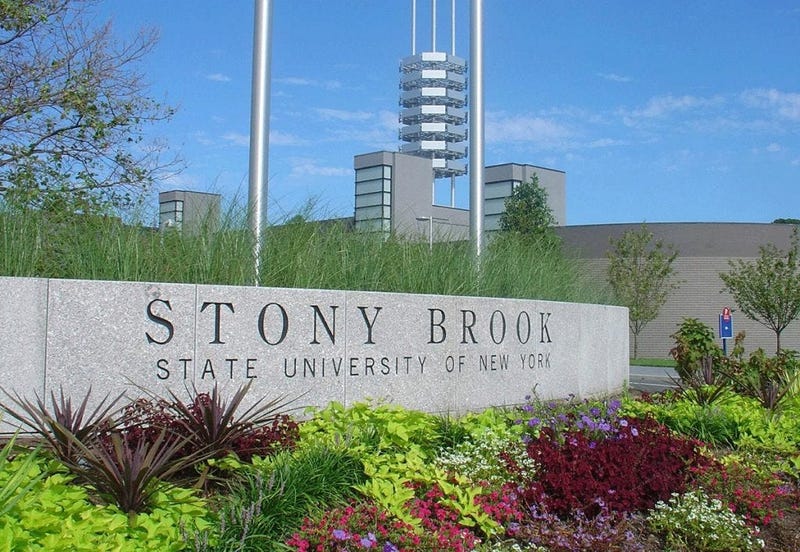 Stony Brook University