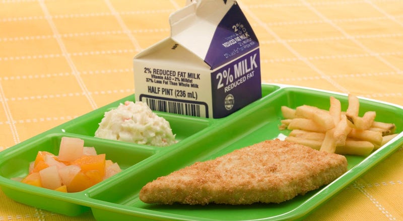 School Lunch Tray