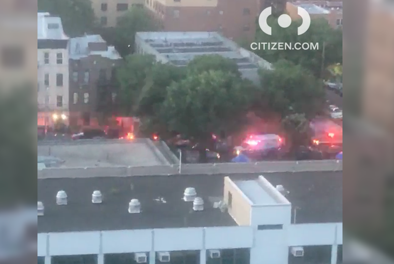 Bronx shooting