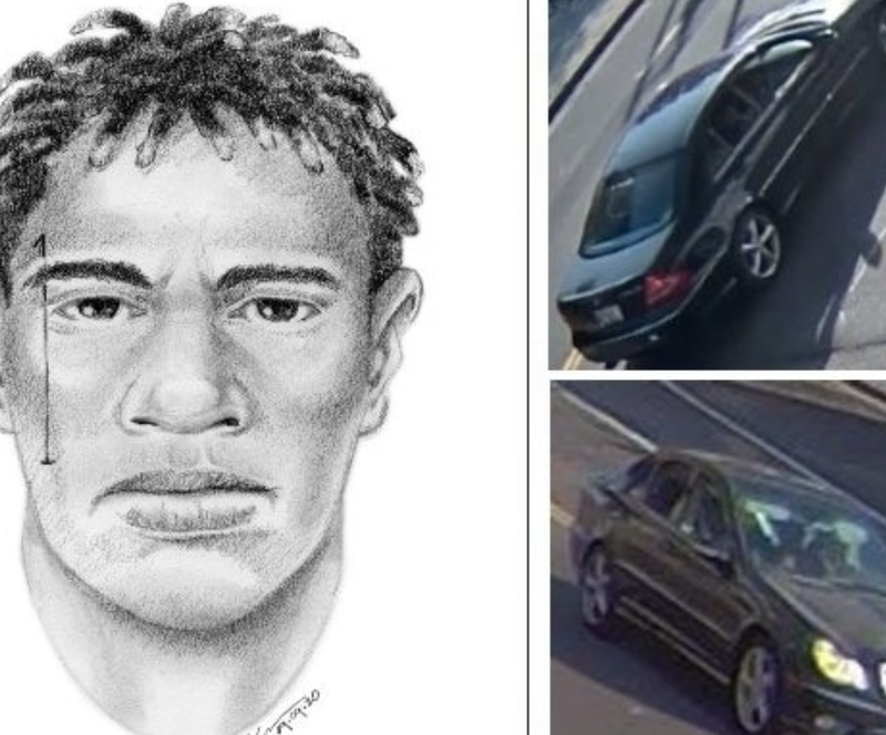 LAPD Chinatown Hit-and-Run