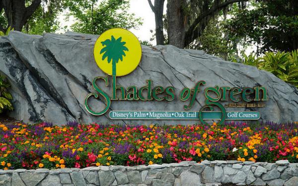 Sheads of Green