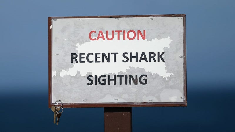 A 'Recent Shark Sighting' sign is seen near where a colony of several hundred seals often rest on a sandbar at High Head Beach on Cape Cod on August 12, 2012 in Truro, Massachusetts.