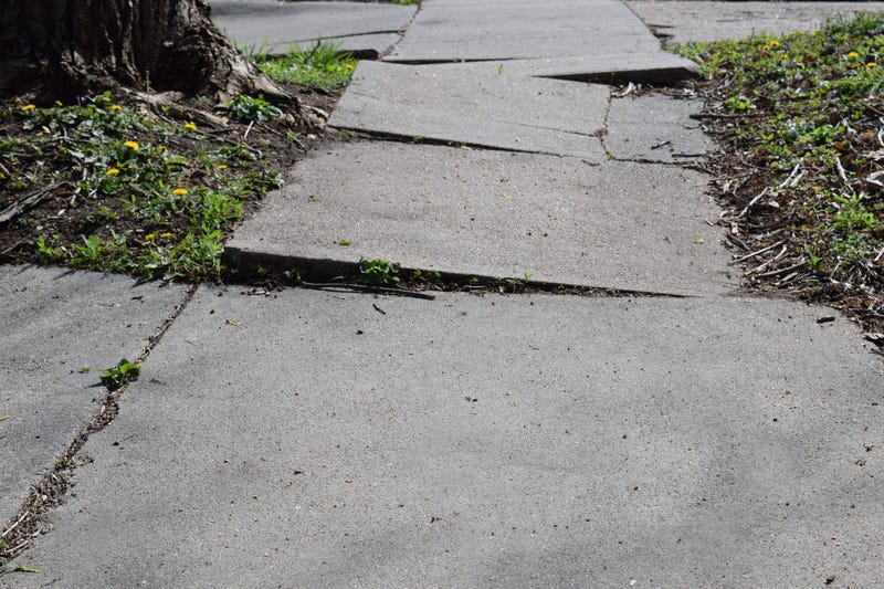 A sidewalk made uneven by tree roots