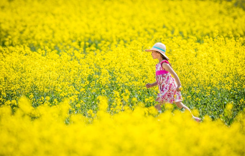 spring flowers